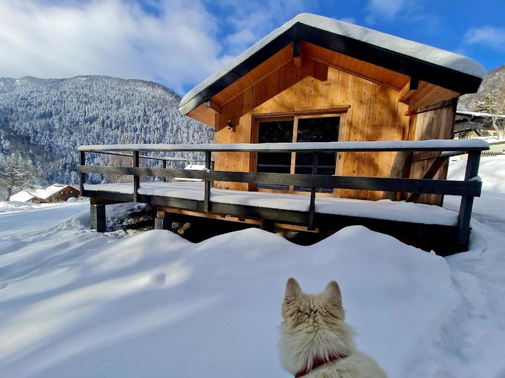 Le Chalet Du Blanc Spa Yoga Aillon-le-Jeune Ngoại thất bức ảnh